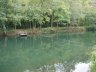 dsc07455.jpg - 